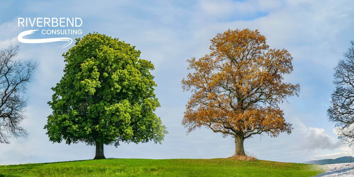 Are You a Seasonal Seller on Amazon? Boost Sales Now Seasonal seller on Amazon