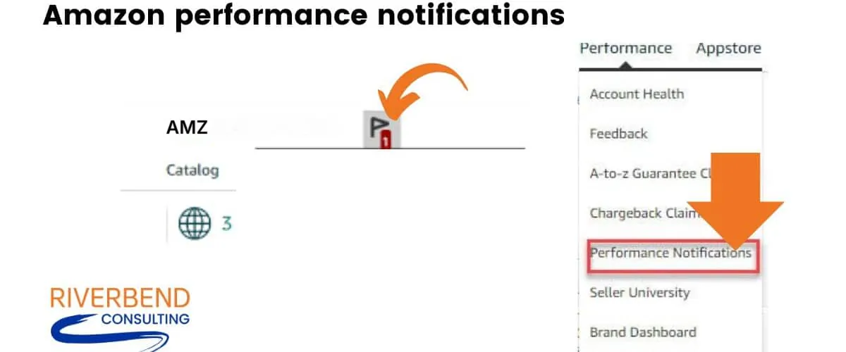 Amazon Perfromance Notifications